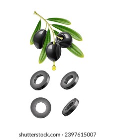 Olive branch and black slices with drops, realistic vector for extra virgin olive oil and product package. Raw olives branch with leaves, oil drop and cut olives for organic farm products and cuisine