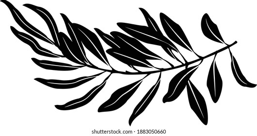 Gráfico vectorial negro de rama de oliva