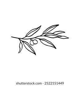 Olive Branch Black and white illustration