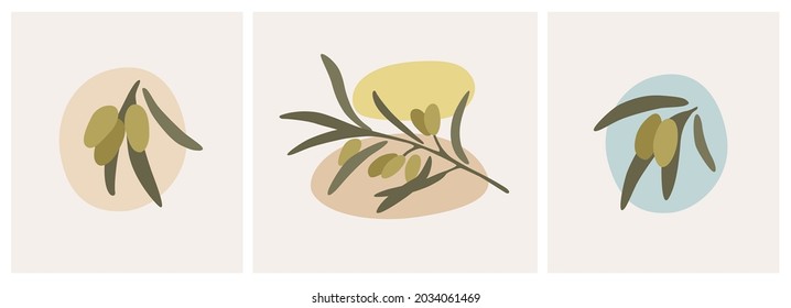 Estilo boho de rama de olivo. Afiche contemporáneo minimalista de aceitunas verdes. Estética alimentaria mediterránea de italia griega. Ingrediente ecológico saludable. Berry de hojas sobre fondo abstracto. Ilustración del vector