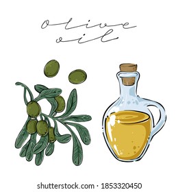 Olive branch and bottle of oil, color, vector