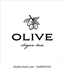 Olive branch with classic design and simple lines