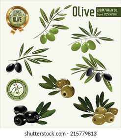 Olive branch collection