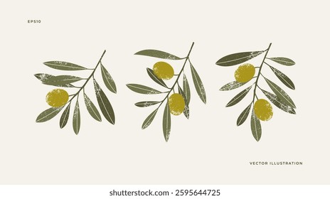 Olive branch collection. Set of olive leaves with berries. Vector illustration