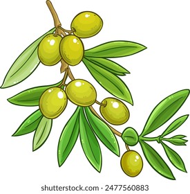 Olive Branch Colored Detailed Illustration.