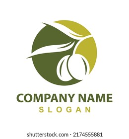 olive branch combined logo design template