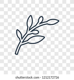 Olive Branch concept vector linear icon isolated on transparent background, Olive Branch concept transparency concept in outline style