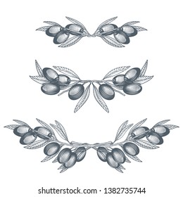 Olive branch decorative border frame set. Vector illustration of olive tree twigs in engraving technique. Isolated on white background.