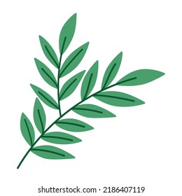 olive branch design over white