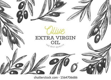 Olive branch design template. Hand drawn vector food illustration. Engraved style mediterranean plant. Retro botanical picture.