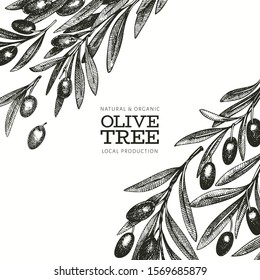 Olive branch design template. Hand drawn vector food illustration. Engraved style mediterranean plant. Vintage botanical picture.