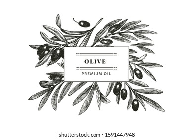 Olive branch design template. Hand drawn vector food illustration. Engraved style mediterranean plant. Vintage botanical picture.