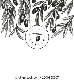 Olive branch design template. Hand drawn vector food illustration. Engraved style mediterranean plant. Vintage botanical picture.