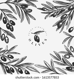 Olive branch design template. Hand drawn vector food illustration. Engraved style mediterranean plant. Vintage botanical picture.