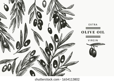Plantilla de diseño de bifurcación de oliva. Dibujo de alimentos vectoriales dibujado a mano. Planta mediterránea de estilo grabado. Imagen botánica vintage.