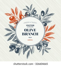 Olive branch. Design template. Vector illustration