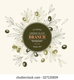 Olive branch. Design template. Vector illustration