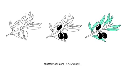 olive branch doodle black and white