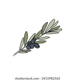 Olive branch drawn in line art style