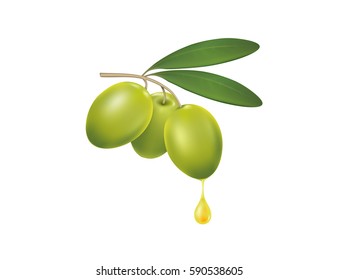 olive branch with a drop of olive oil