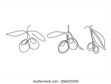 Olive branch engraving vector illustration. Graphic olive collection. one line drawing