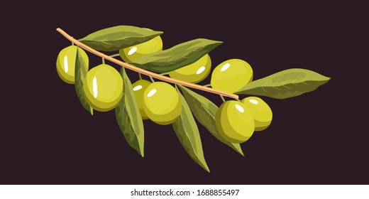 Olive branch. Flat style vector illustration