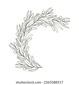 Rama de oliva en forma de semicírculo. Composición vectorial. Una rama textural de mano, hojas gráficas sobre fondo blanco.