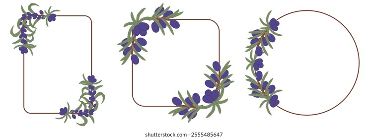 Olive Branch Frame Collection with Purple Berries on Simple Geometric Shapes