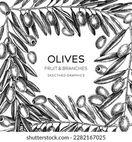 Olive branch frame design with leaves, berries, and fruit sketches. Vegan food in vintage style. Vegetable oil ingredients card. Olive tree vector illustration isolated on white background 