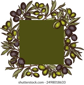 Olive branch frame. Organic healthy product label