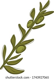 Olive branch with fruit texture vector image