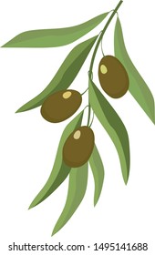 Olive branch with fruits, a symbol of peace, vector illustration