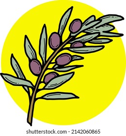 Olive branch with green leaves and olives for oil products. Harvest from the tree. Symbol of world peace. Romantic decorative element. Hand drawn retro vintage vector illustration. Old style drawing.
