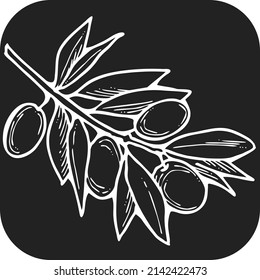 Olive branch with green leaves and olives for oil products. Harvest from the tree. Symbol of world peace. Romantic decorative element. Hand drawn retro vintage chalk board style vector illustration.
