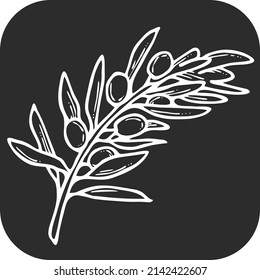 Olive branch with green leaves and olives for oil products. Harvest from the tree. Symbol of world peace. Romantic decorative element. Hand drawn retro vintage chalk board style vector illustration.