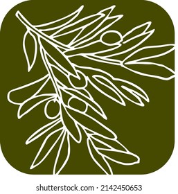 Olive branch with green leaves and olives for oil products. Harvest from the tree. Symbol of world peace. Romantic decorative element. Hand drawn colorful vector illustration. Simple line drawing.