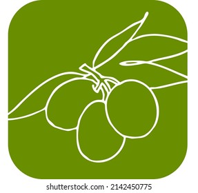 Rama de oliva con hojas verdes y aceitunas para productos petrolíferos. Cosecha del árbol. Símbolo de la paz mundial. Elementos decorativos románticos. Ilustración vectorial colorida dibujada a mano. Dibujo de línea simple.