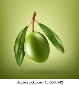 Olive branch with green leaves and olive on a green background. Realistic vector illustration