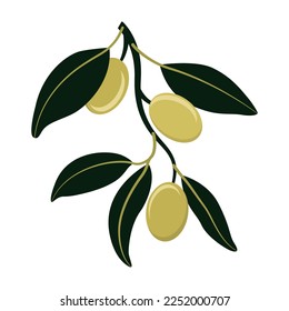 Olive branch with green olives isolated on white background. Flat style. Vector illustration