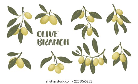 Rama de oliva con aceitunas verdes aisladas en fondo blanco. Estilo plano. Ilustración del vector