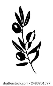 Olive branch, hand drawn, black and white illustration, vector