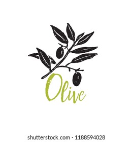 Olive branch. Hand drawn illustration. Vector design. Black silhouette with green inscription Olive.