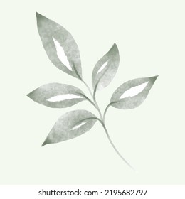 Olive branch hand drawn isolated on background