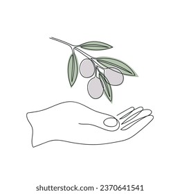 Olive branch in hand drawn in one continuous line in color. One line drawing, minimalism. Vector illustration.