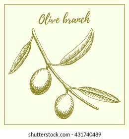 olive branch hand drawn sketch illustration vector vintage designs label