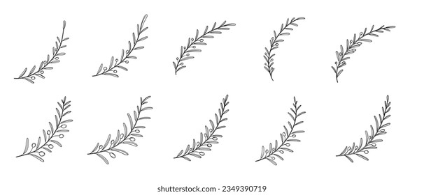 Olive Branch Hand Drawn Vector Set