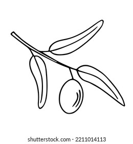 Olive branch, hand-drawn doodle sketch. Twig with leaves and fruit outline. Simple minimalistic design. Food menu or cosmetic concept decoration. Isolated. Vector illustration