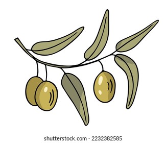 Olive branch, hand-drawn doodle sketch. Twig with leaves and fruit outline. Simple minimalistic design. Food menu or cosmetic concept decoration. Isolated. Vector illustration