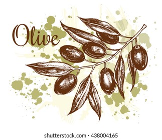 Olive branch. Hand-drawn vector illustration.