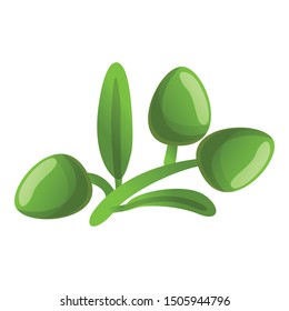 Olive branch icon. Cartoon of olive branch vector icon for web design isolated on white background